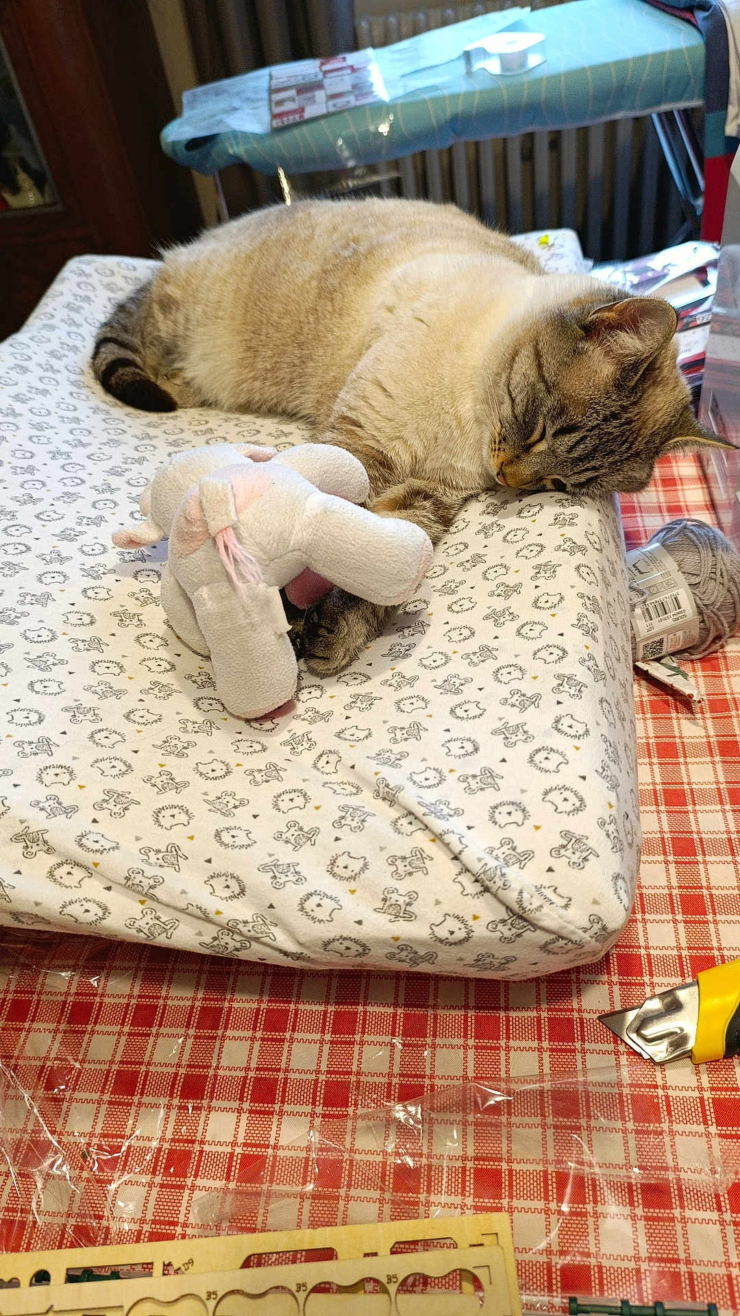 Velvet a rejoint le concours — aidez-le/la à gagner de superbes lots ! cat, sleeping, stuffed_toy, elephant, cushion, patterned_fabric, tablecloth, red_and_white, knitting_yarn, utility_knife, crafting_supplies, indoor, relaxing, pet, animal, feline, cozy, resting, home, soft_toy