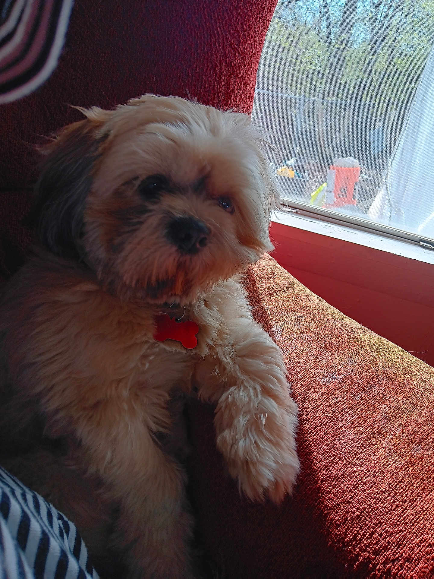Rudy