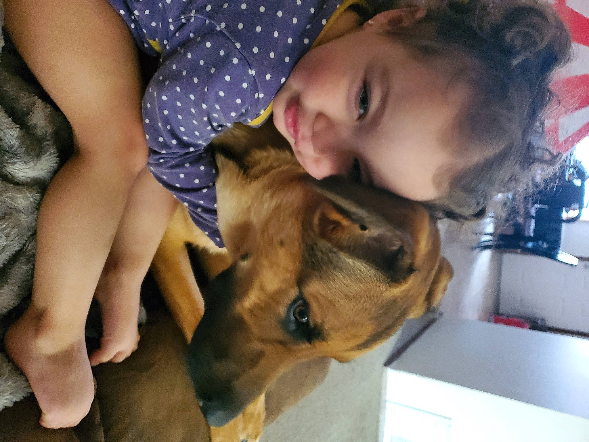 Juliet is registered to the contest to win money with this photo: canidae, carnivore, child, companion_dog, dog, dog_breed, ear, fawn, fun, fur, gesture, happy, jaw, person, puppy, puppy_love, smile, snout, sporting_group, whiskers