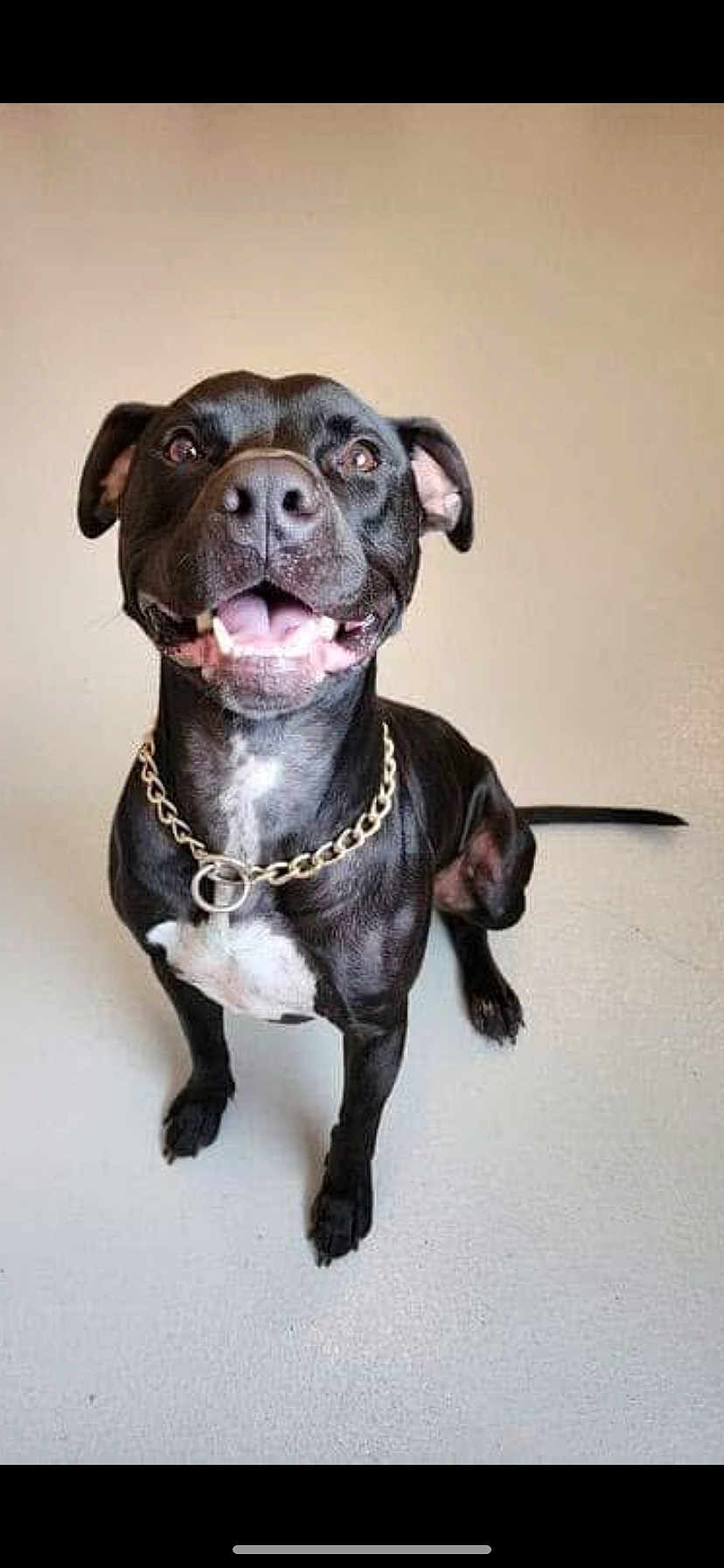 Remi