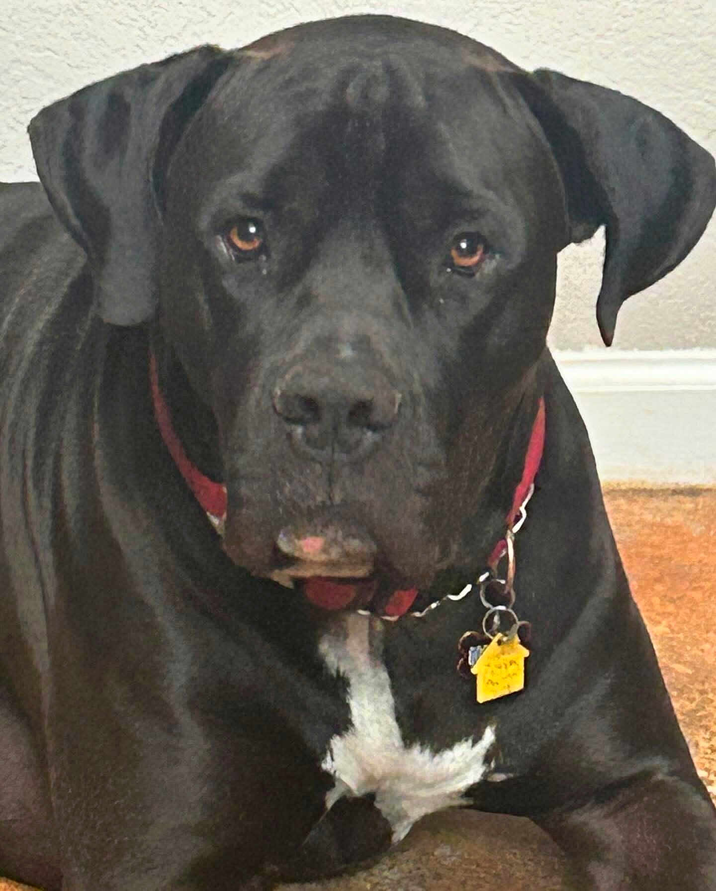 Waylon