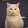 Mr Booboo
