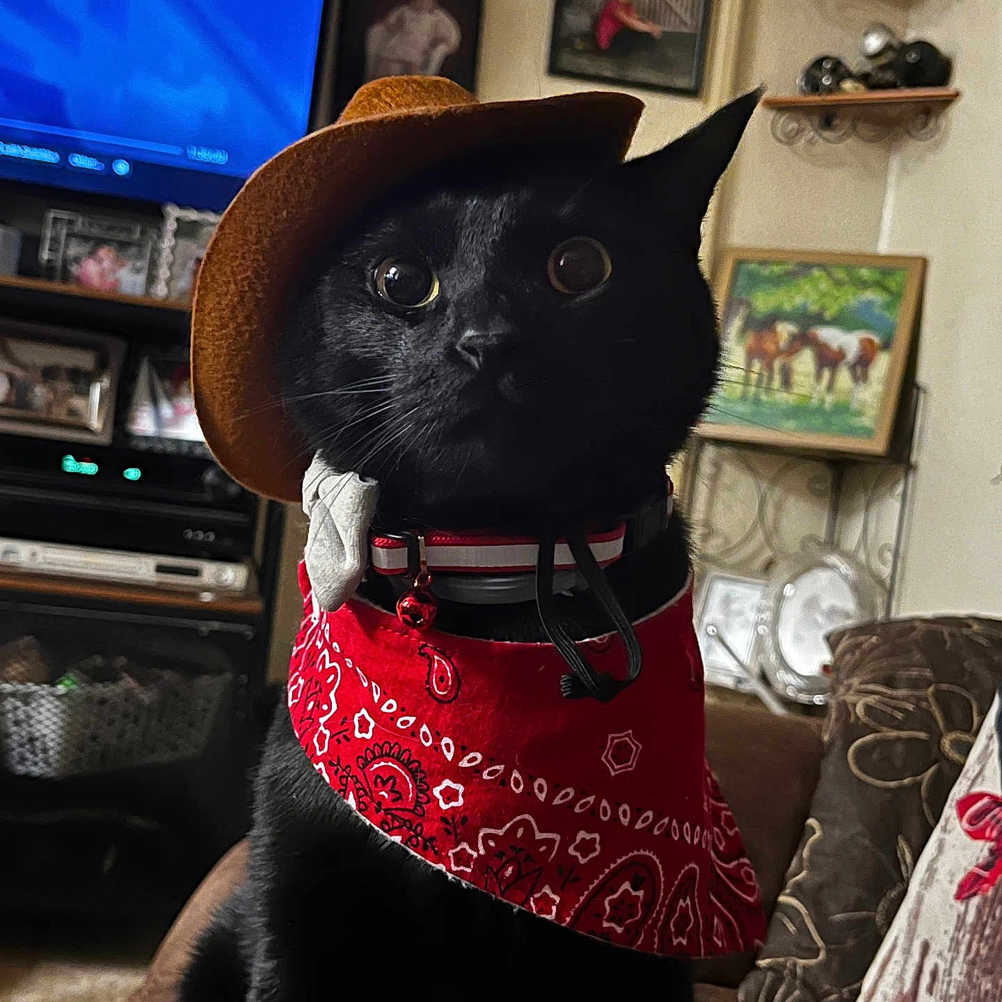 Rascal