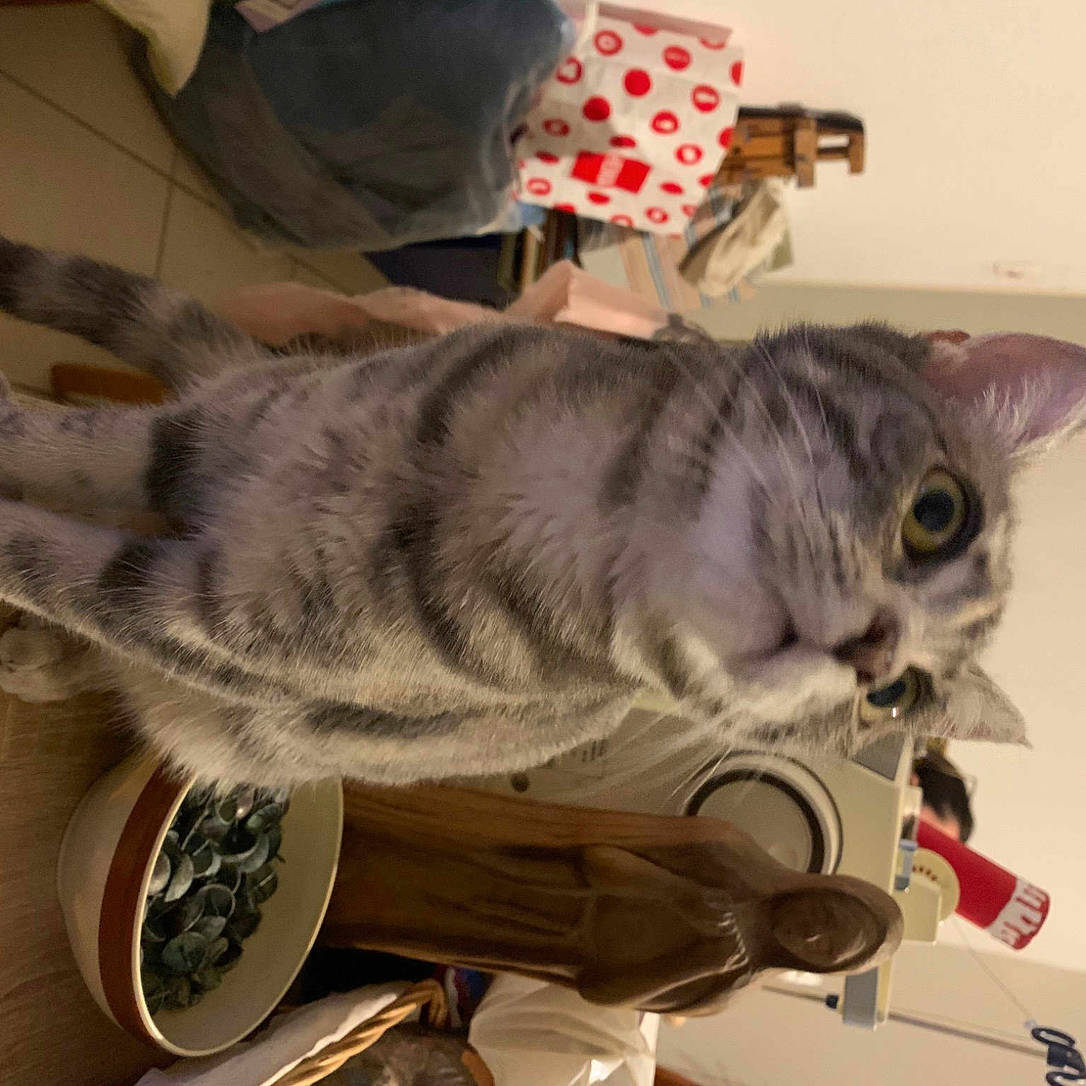 Zezette