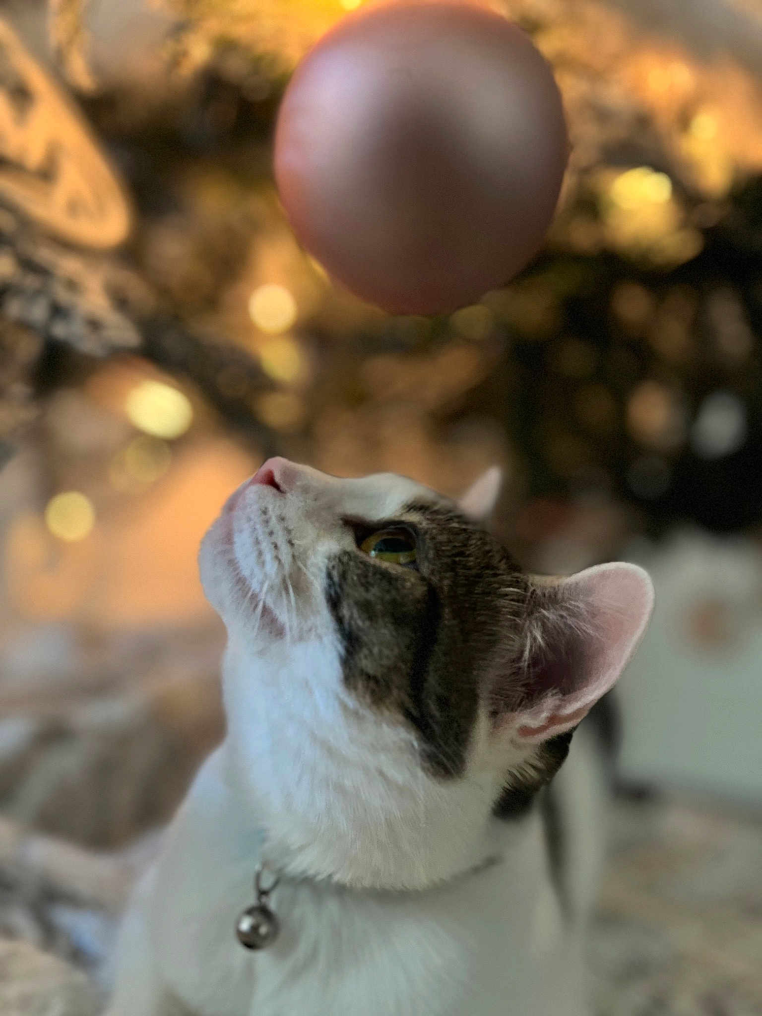 Coco Chanel