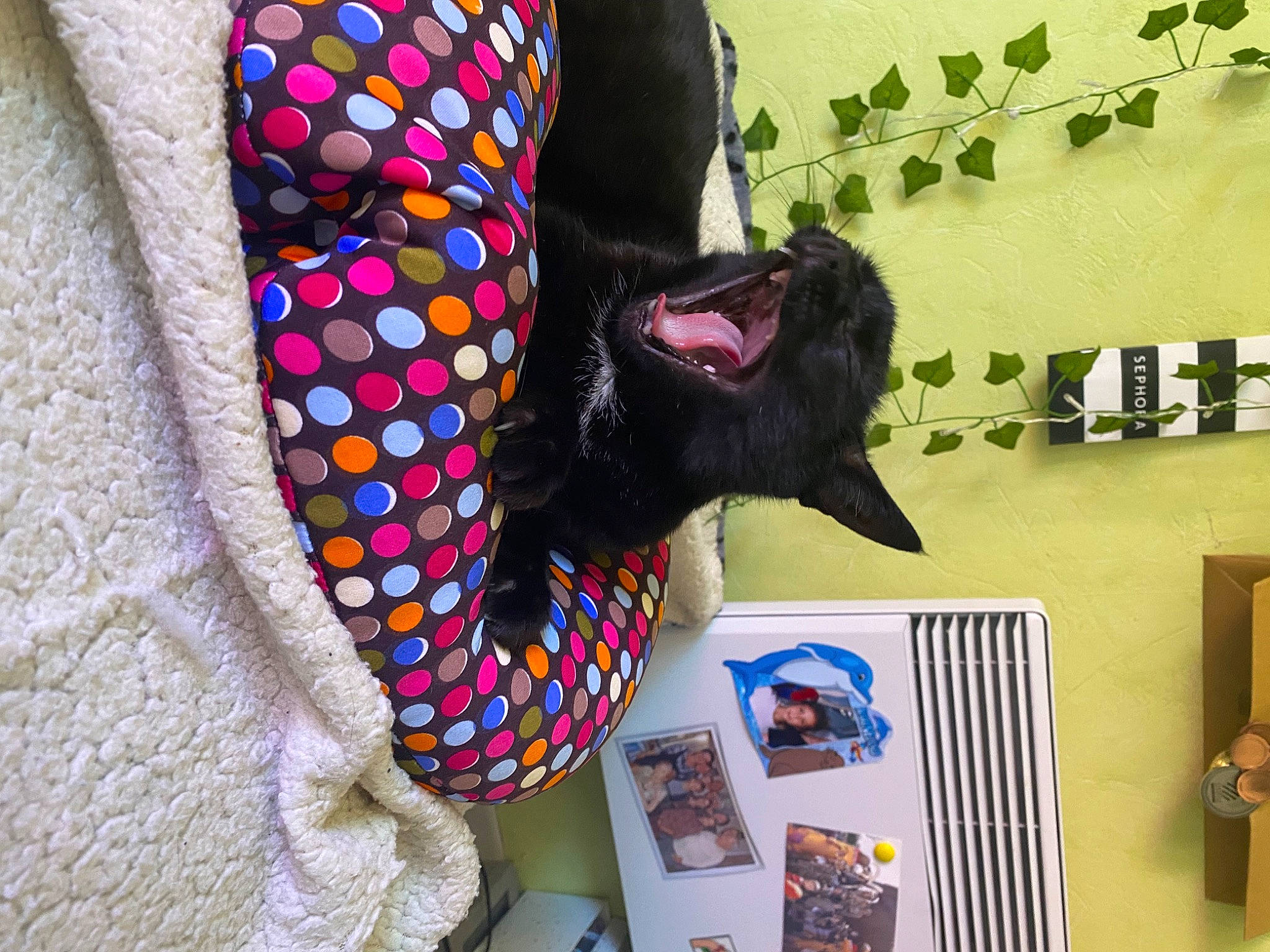 Geisha participe au concours pour gagner de l'argent avec cette photo : art, carmine, craft, day_dress, fashion_accessory, fur, linens, magenta, nail, pattern, room, sleeve, thigh, visual_arts, waist, wool