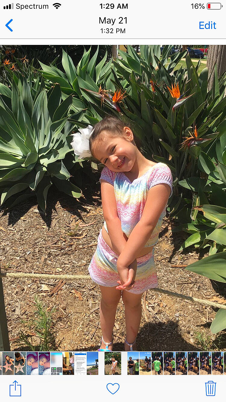 Avelina joined the competition — help win amazing prizes! botany, flower, person, plant