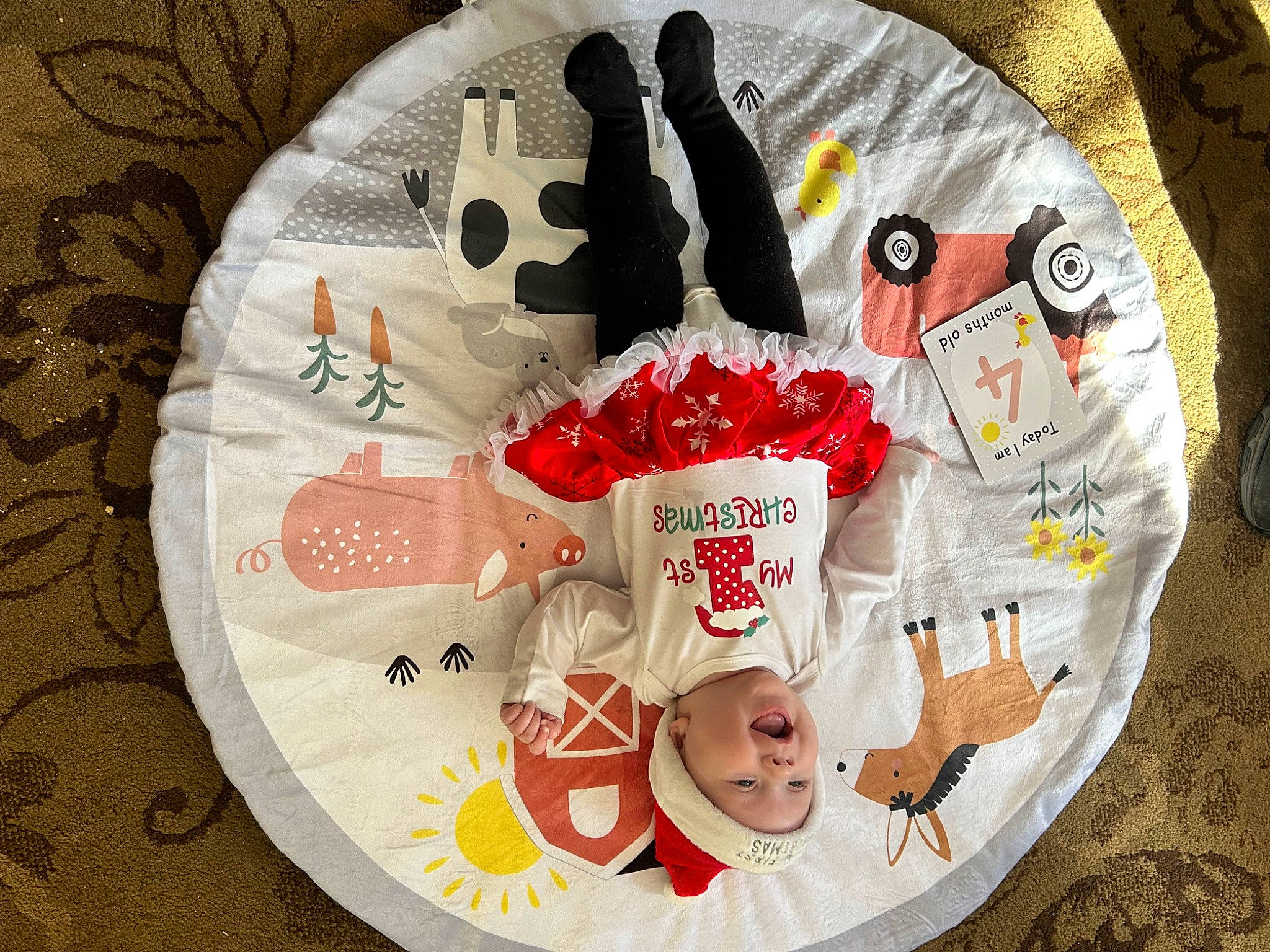 Kalliope is registered to the contest to win money with this photo: art, baby_toddler_clothing, button, carmine, circle, comfort_food, cuisine, dish, dishware, font, headwear, home_accessories, linens, pattern, person, plate, platter, porcelain, recipe, serveware