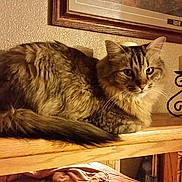 Chance is registered to the contest to win money with this photo: