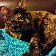 Sadie is registered to the contest to win money with this photo: