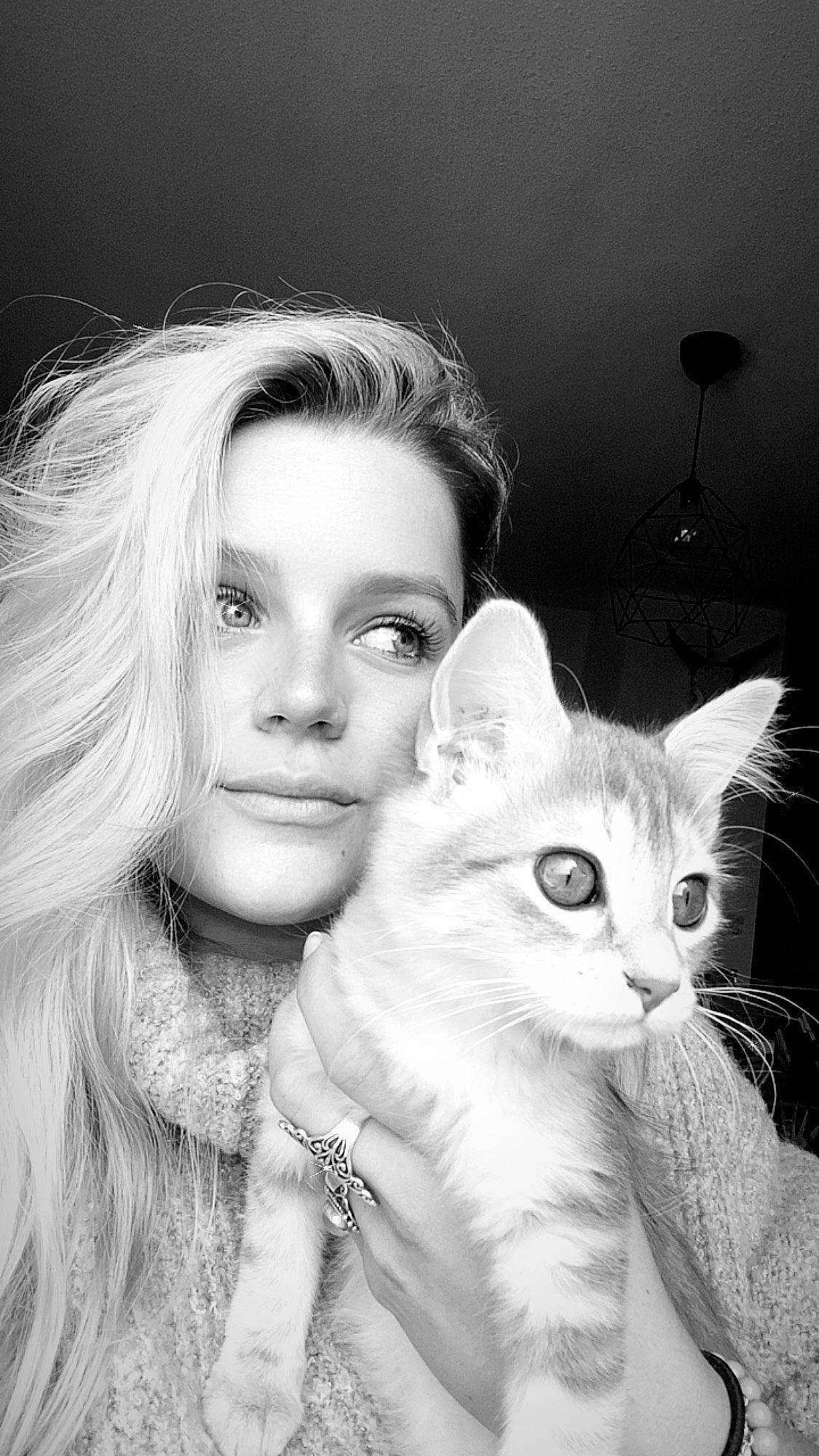 Gomette a rejoint le concours — aidez-le/la à gagner de superbes lots ! beauty, black_and_white, blond, cat, ear, eye, eyebrow, face, felidae, fur, hair, hairstyle, head, lip, long_hair, nose, skin, small_to_medium_sized_cats, whiskers, white