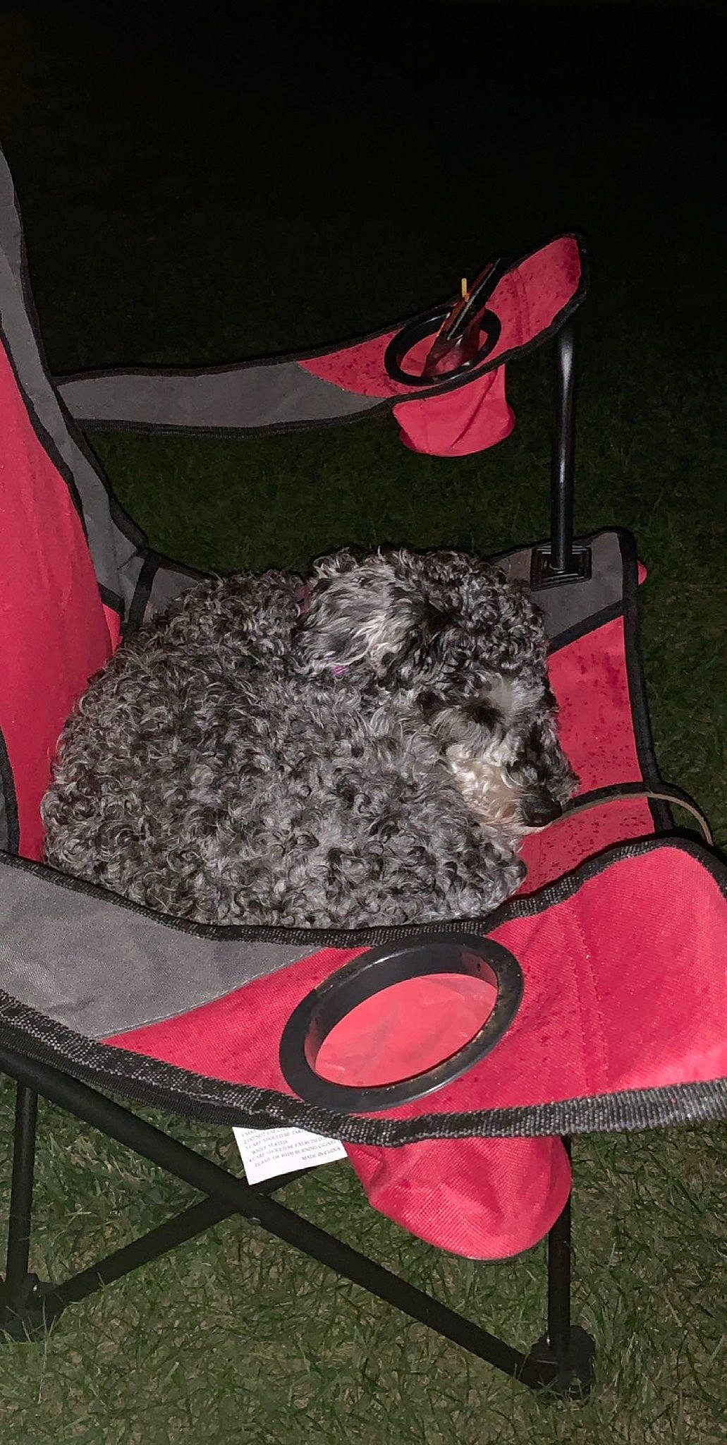 Tango joined the competition — help win amazing prizes! bag, diaper_bag, magenta, pink