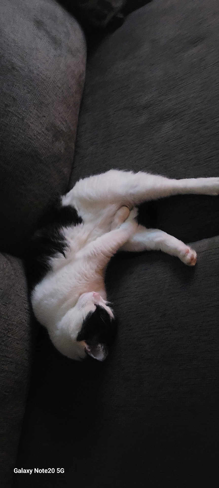 Precious
