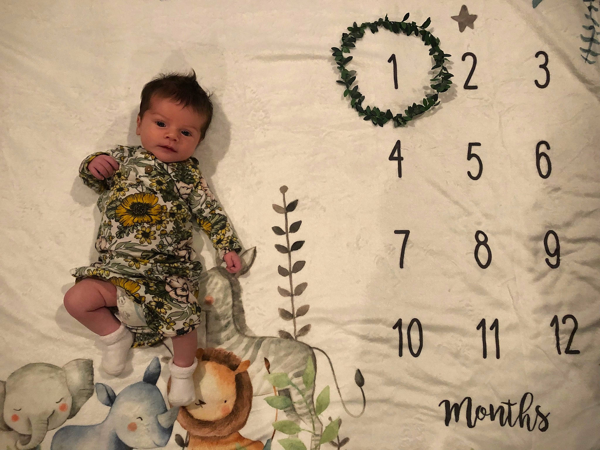 Lainey is registered to the contest to win money with this photo: art, baby, baby_toddler_clothing, chair, child, circle, comfort, font, happy, holiday, illustration, pattern, person, play, room, sitting, toddler, tree, vintage_clothing, visual_arts