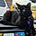 Binx