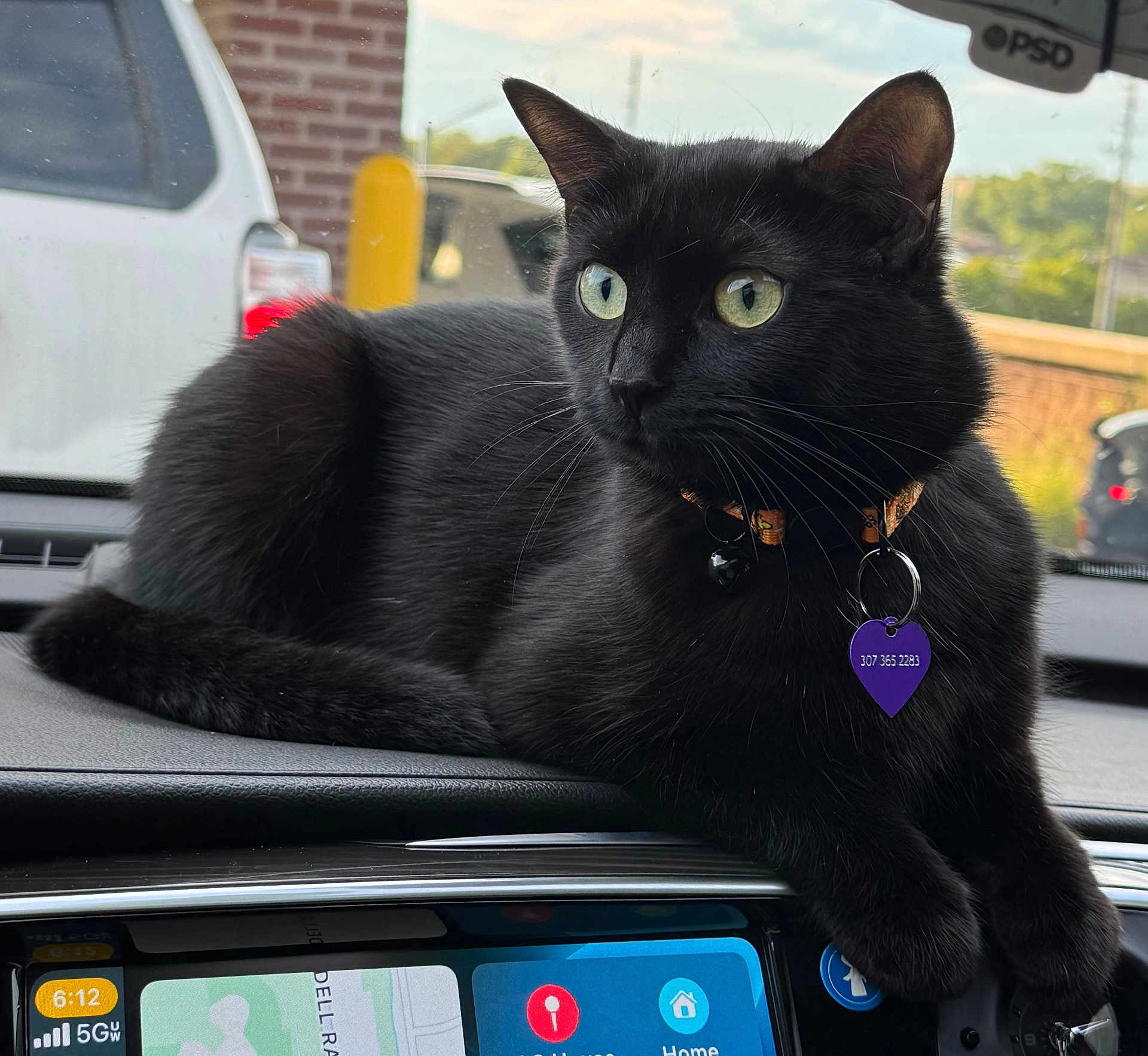 Binx