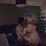 Ushuaia participe au concours pour gagner de l'argent avec cette photo : affection, carpet, christmas_tree, cozy, decor, dog, furniture, holiday, home, hug, husky, indoor, lamp, lighting, love, person, pet, relaxation, seat, warmth