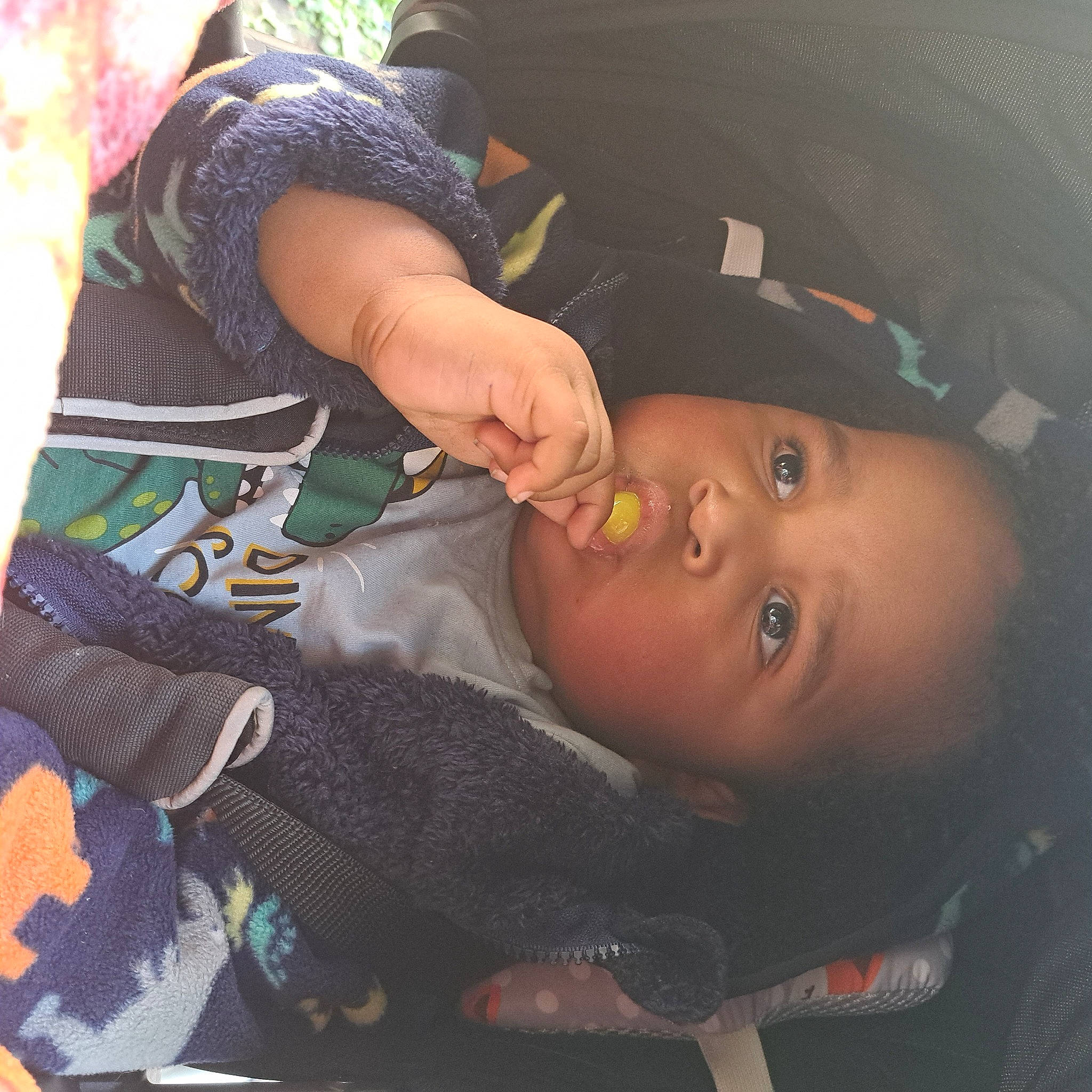 Stephen joined the competition — help win amazing prizes! auto_part, baby, baby_carriage, baby_products, cap, car_seat, cheek, child, fun, grass, hat, pattern, person, personal_protective_equipment, plant, sitting, toddler, tree