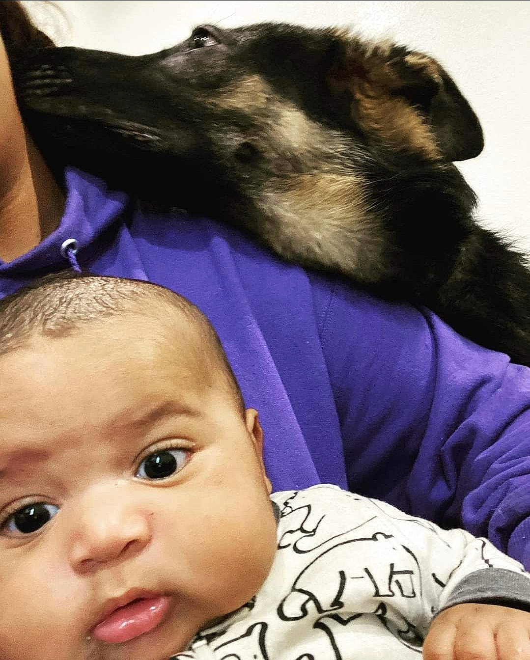 Stephen joined the competition — help win amazing prizes! baby, carnivore, cheek, companion_dog, dog, dog_breed, ear, eyelash, fawn, german_shepherd_dog, gesture, happy, human, mammal, nose, person, photograph, skin, snapshot, toddler