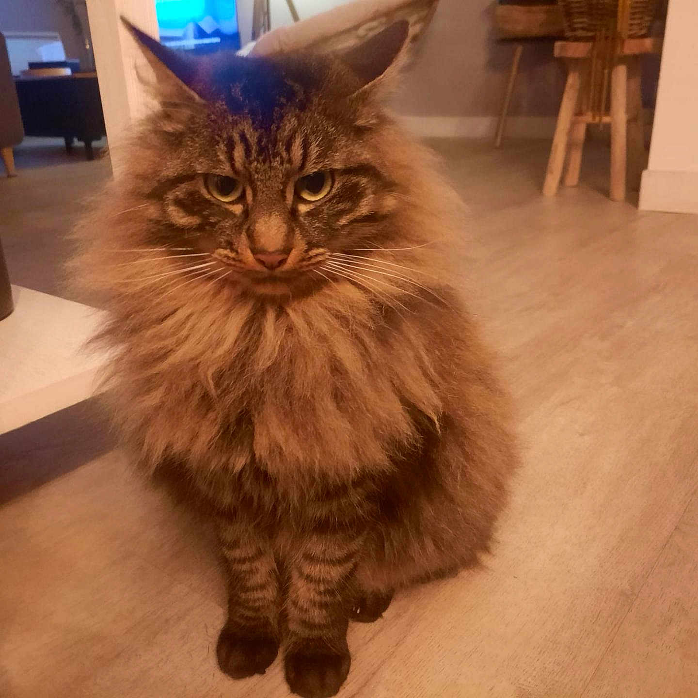 Sultan