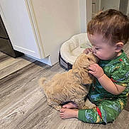 Ethan joined the competition — help win amazing prizes! affection, animal, baby, child, cute, dog_bed, floor, flooring, green_clothing, home, indoor, kiss, kitchen, pajamas, pet, playful, puppy, small_dog, toddler, wooden_floor