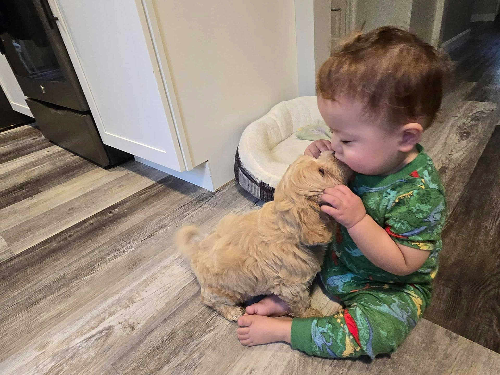 Ethan joined the competition — help win amazing prizes! affection, animal, baby, child, cute, dog_bed, floor, flooring, green_clothing, home, indoor, kiss, kitchen, pajamas, pet, playful, puppy, small_dog, toddler, wooden_floor