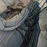 cat, tabby_cat, pet, sleeping, lying_down, bed, blanket, bedding, pillow, striped, bedroom, indoors, cozy, relaxed, fur, whiskers, ears, animal, snuggling, portrait