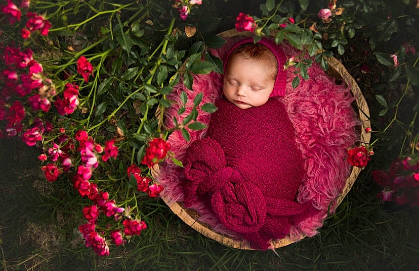Oaklee is registered to the contest to win money with this photo: baby, christmas_ornament, flower, flower_arranging, grass, happy, head, headgear, magenta, outerwear, pattern, people_in_nature, person, petal, pink, plant, tints_and_shades, toddler, tree, wood