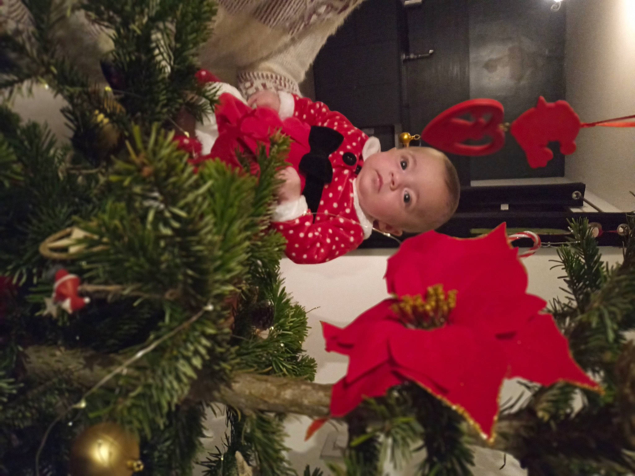 Léana a rejoint le concours — aidez-le/la à gagner de superbes lots ! christmas, christmas_decoration, christmas_eve, christmas_ornament, christmas_tree, event, evergreen, flower_arranging, hat, holiday, holiday_ornament, interior_design, ornament, person, plant, red, tradition, tree, window, wood