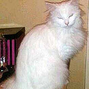 Blanca joined the competition — help win amazing prizes!