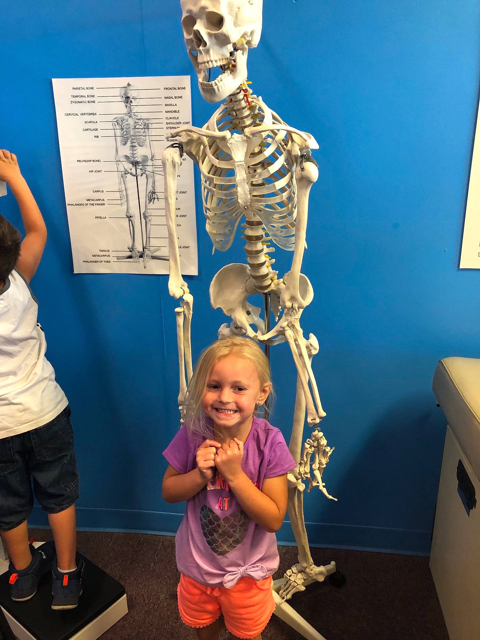 Isabelle is registered to the contest to win money with this photo: arm, child, human, human_anatomy, human_body, jaw, joint, joy, leg, museum, neck, organ, organism, person, science, shoulder, skeleton