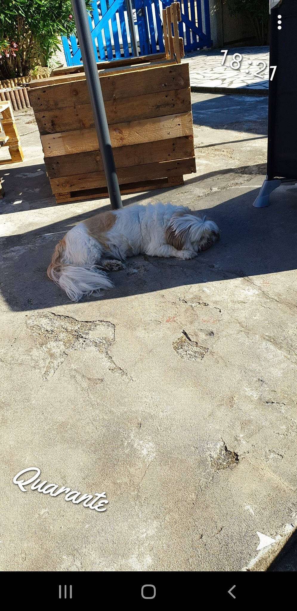 Choupette a rejoint le concours — aidez-le/la à gagner de superbes lots ! asphalt, cement, chair, concrete, floor, flooring, road_surface, sidewalk, tile