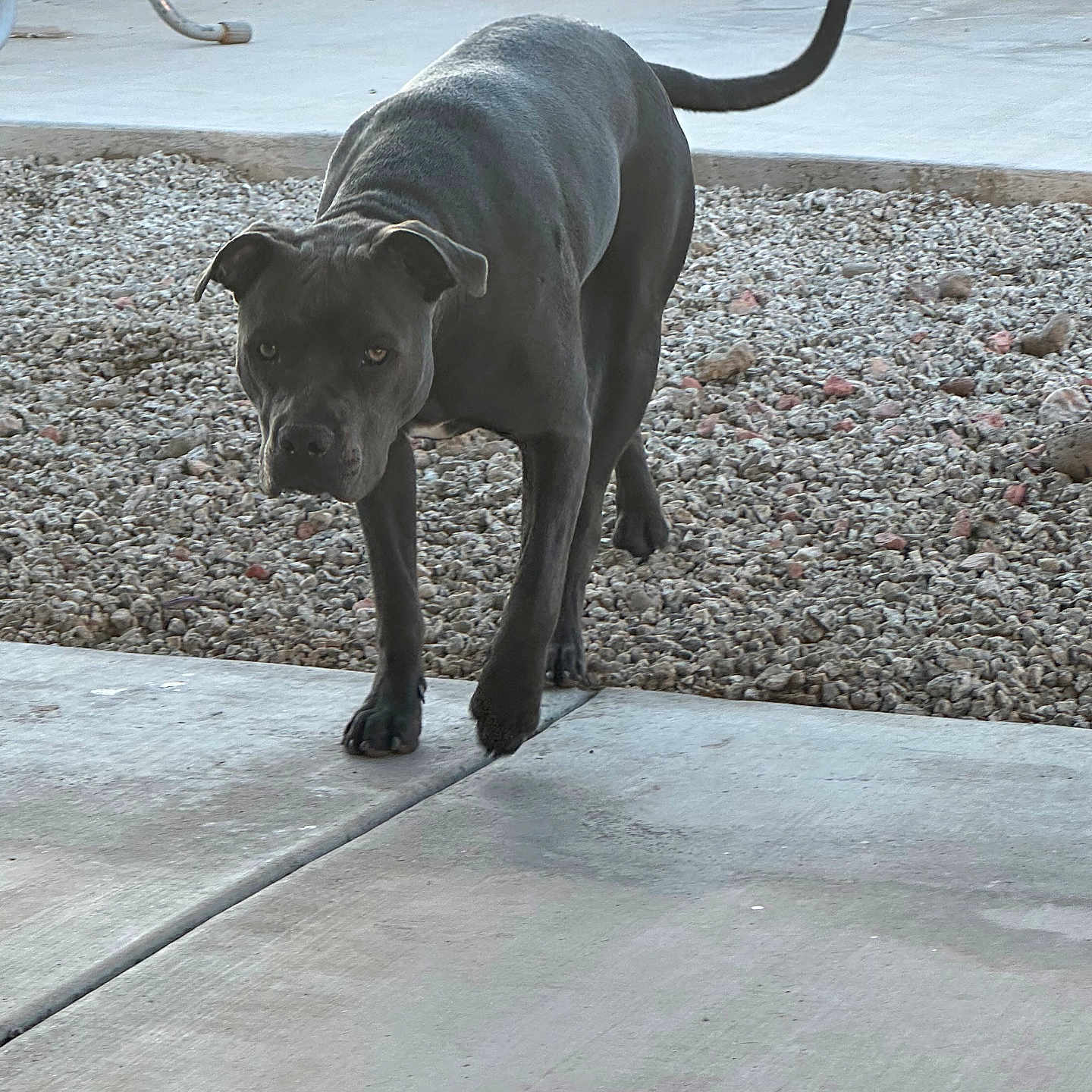 Luna