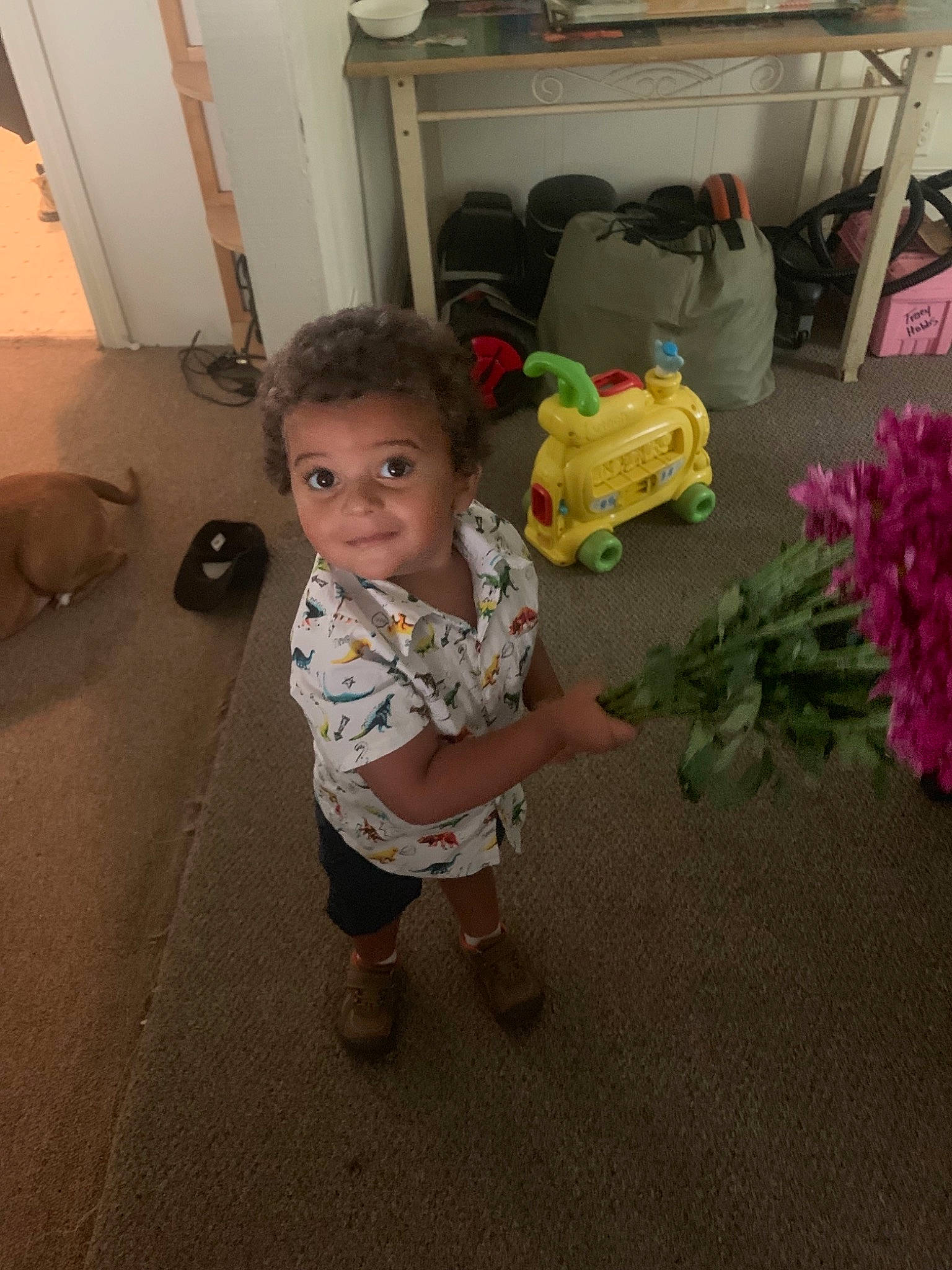 Jeramiah joined the competition — help win amazing prizes! child, floor, flooring, flower, fun, leg, person, room, skin, smile, standing, toddler