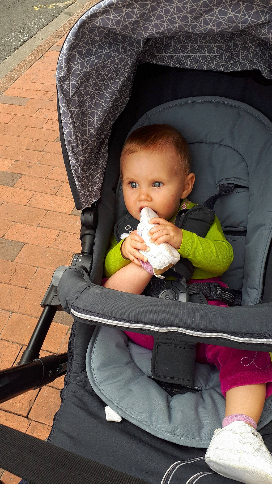 Lola a rejoint le concours — aidez-le/la à gagner de superbes lots !