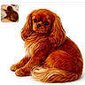 animal, bed, cozy, cute, dog, ears, fluffy, fur, indoor, inset_image, long_hair, pet, portrait, puppy, reddish_brown, relaxed, sitting, small_dog, tail, white_background