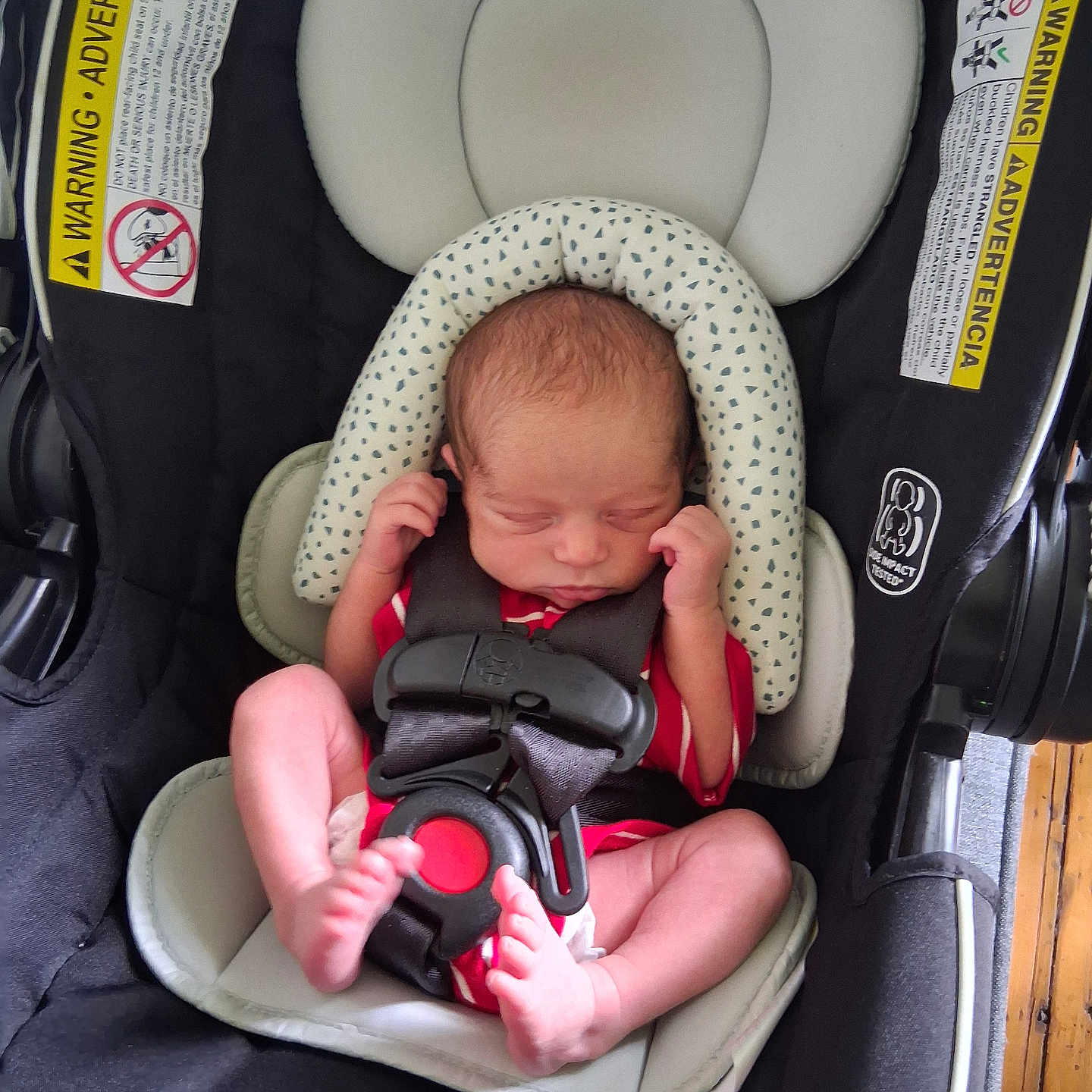 James is registered to the contest to win money with this photo: newborn, baby, car_seat, infant, sleeping, harness, red_clothing, head_support, warning_label, black_fabric, foot, hand, indoors, wood_floor, safety, seat, child, person, resting, portrait