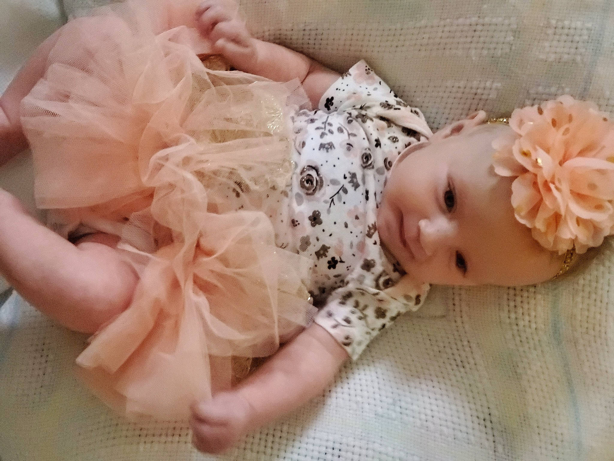 Aspen is registered to the contest to win money with this photo: baby, baby_toddler_clothing, child, embellishment, eyelash, fashion_accessory, hair_accessory, headband, headpiece, jewellery, pattern, peach, person, petal, pink, plant, rose, skin, sleeve, toddler
