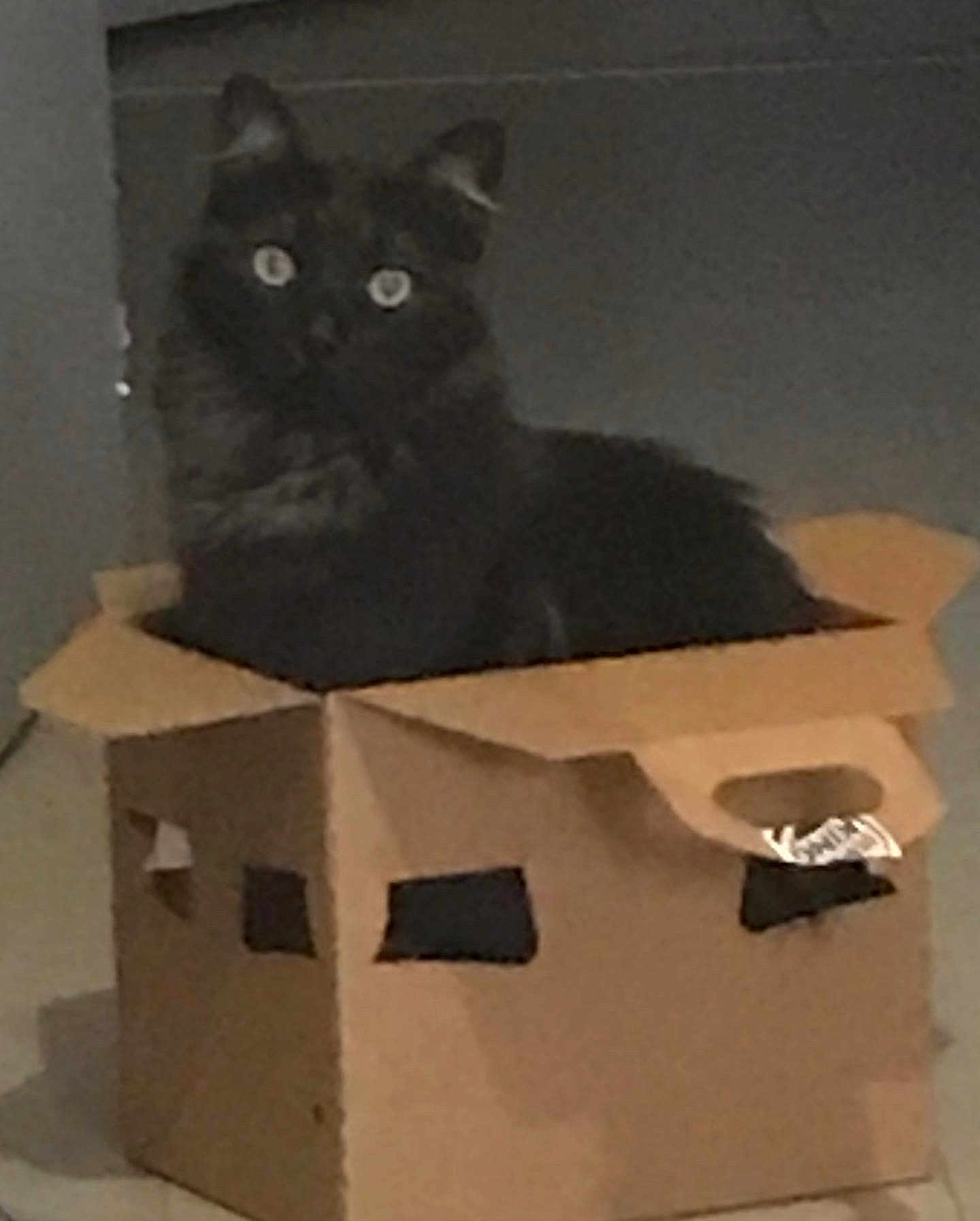 Luna
