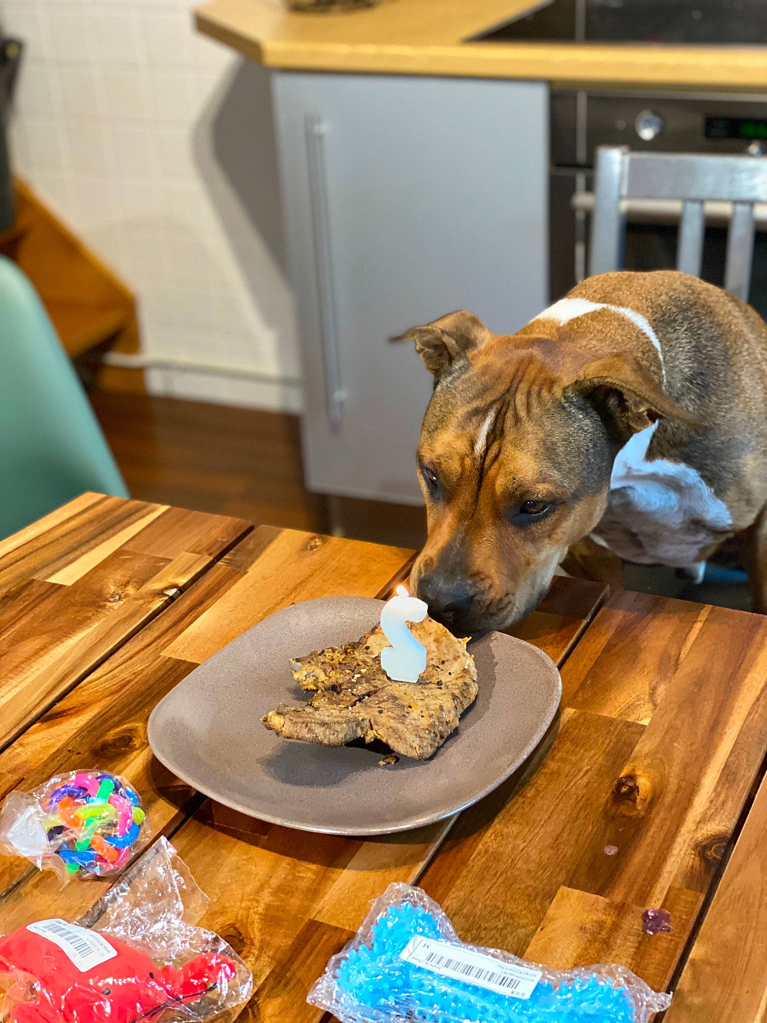 Falcko participe au concours pour gagner de l'argent avec cette photo : carnivore, chair, companion_dog, dishware, dog, dog_breed, drinkware, event, food, furniture, ingredient, linens, plate, platter, room, serveware, table, tablecloth, tableware, wood