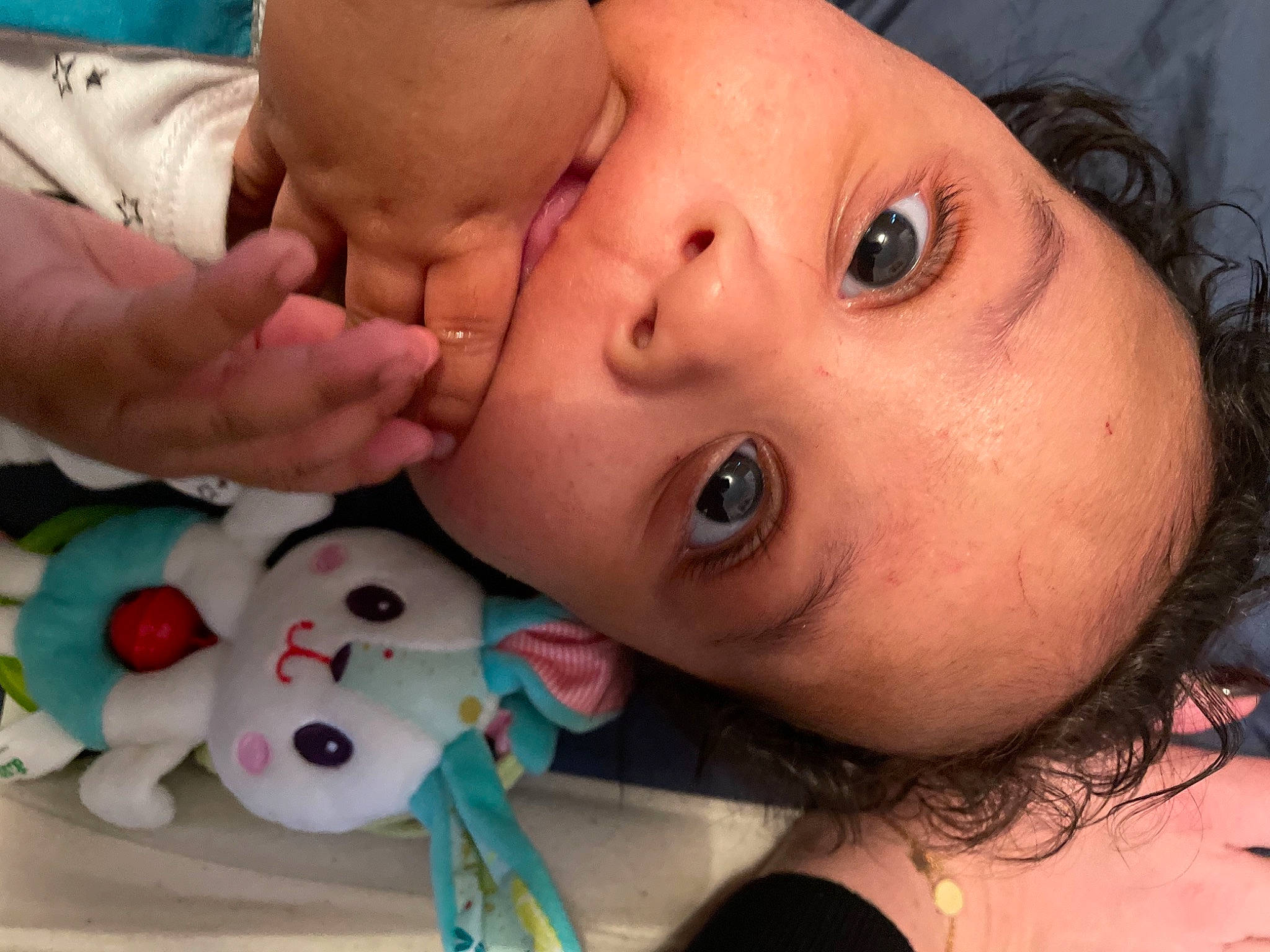 éden participe au concours pour gagner de l'argent avec cette photo : cheek, chin, ear, eye, eyebrow, eyelash, facial_expression, forehead, human, iris, lip, mammal, mouth, neck, nose, organ, person, photograph, product, skin