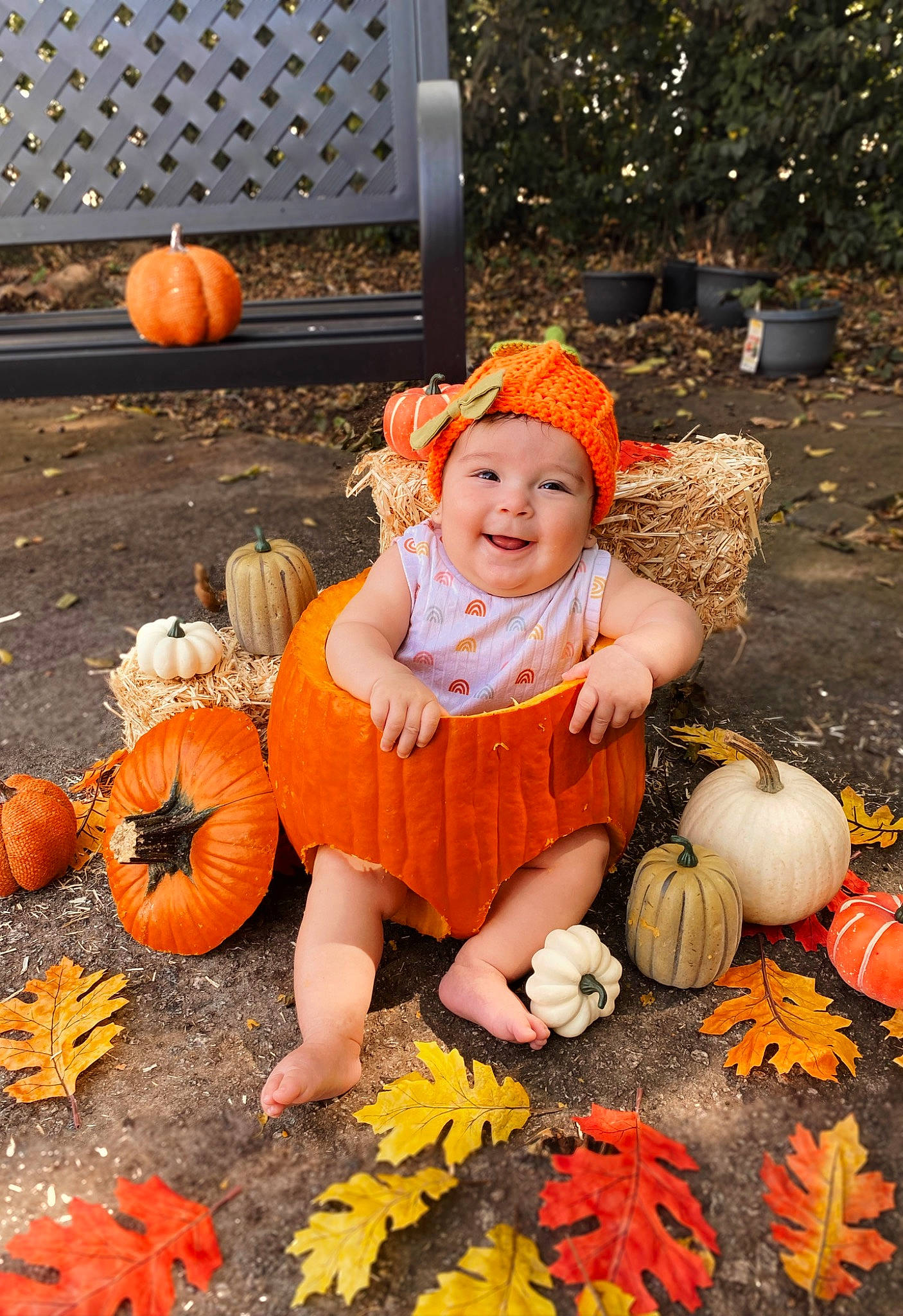 Sienna Rose joined the competition — help win amazing prizes! calabaza, cucurbita, face, gourd, grass, happy, headwear, human_body, joy, leaf, natural_foods, orange, people, people_in_nature, person, photograph, plant, pumpkin, smile, squash