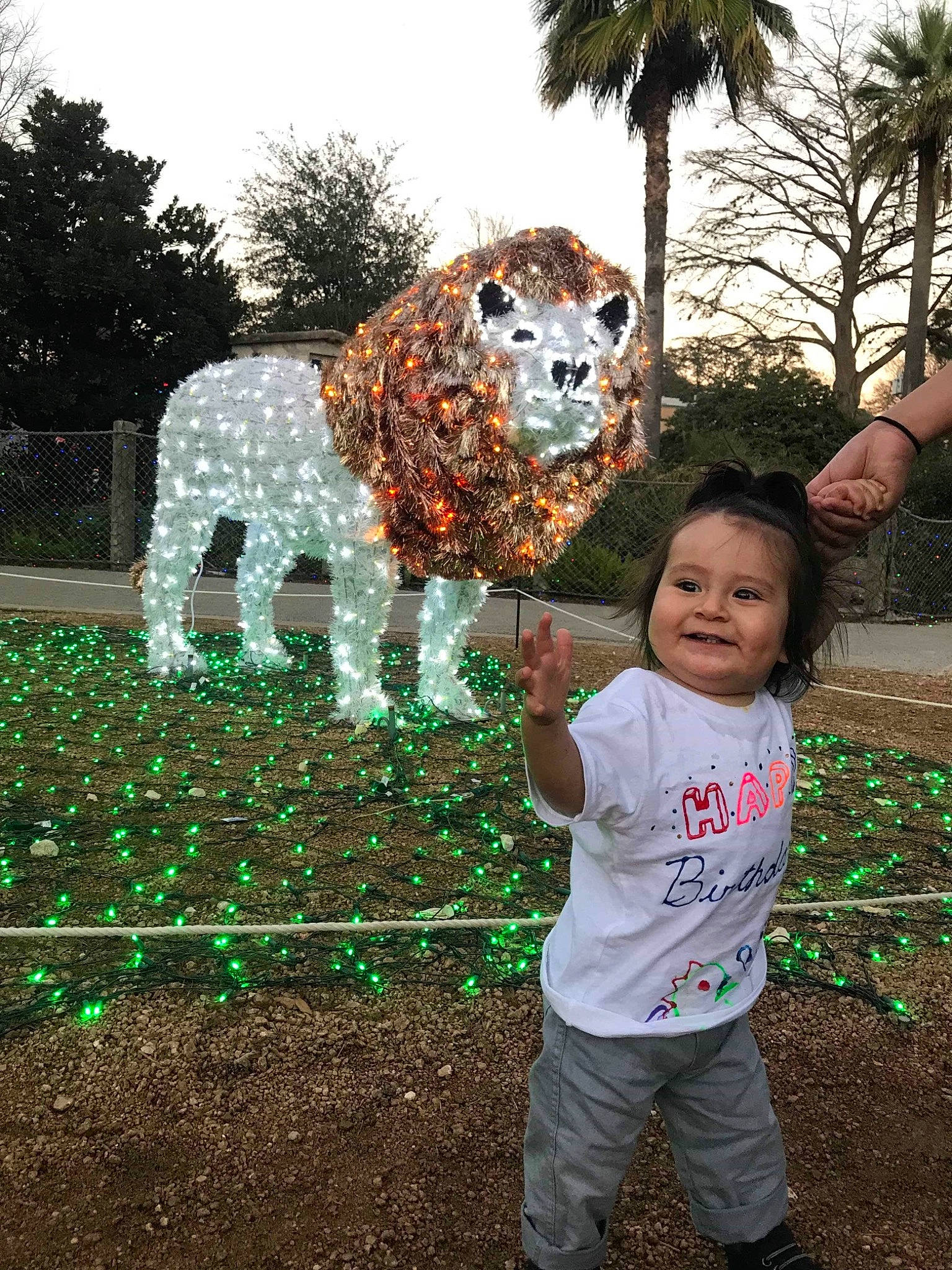 Leonard Jayden Quintana is registered to the contest to win money with this photo: child, fun, garden, grass, joy, person, plant, play, recreation, tree, vertebrate, woody_plant