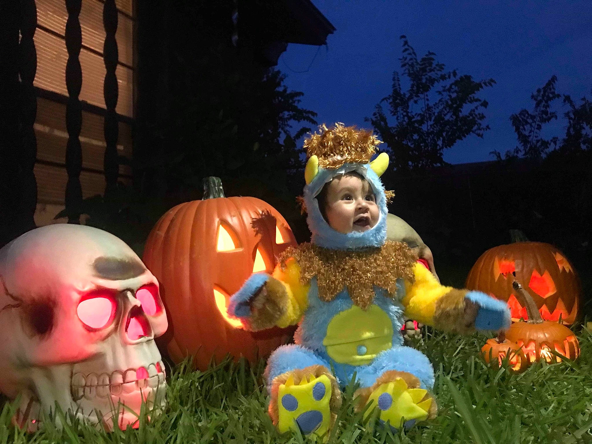 Leonard Jayden Quintana is registered to the contest to win money with this photo: calabaza, computer_wallpaper, cucurbita, fun, grass, halloween, holiday, jack_o_lantern, person, pumpkin, recreation