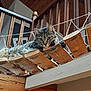 cat, tabby, indoor, wood, rope, bridge, relaxed, paws, feline, animal, pet, wooden_planks, railing, curious, cozy, home, portrait, resting, looking, closeup