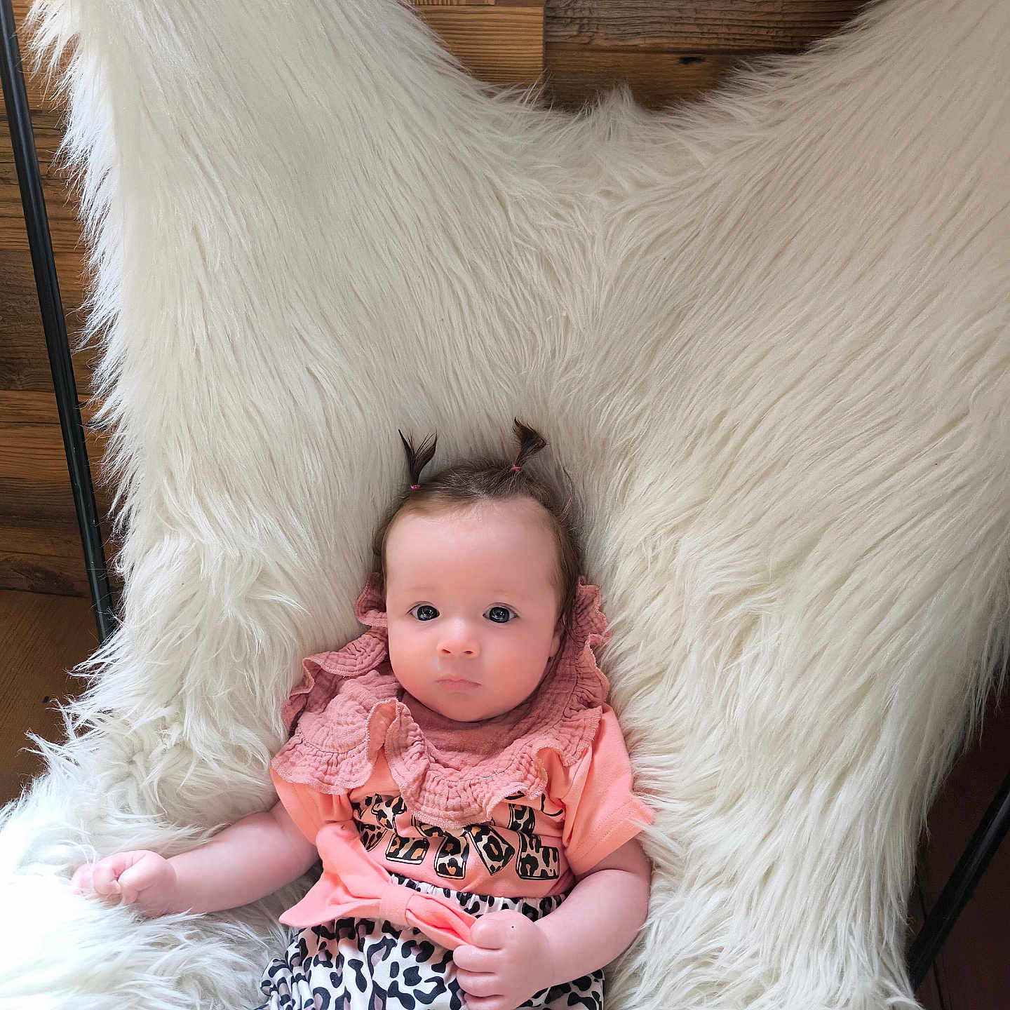 Adriana a rejoint le concours — aidez-le/la à gagner de superbes lots ! baby, bright_eyes, casual, child, clothing, cozy, cute, fluffy_chair, indoor, infant, leopard_print, person, pigtails, pink_top, portrait, relaxed, sitting, soft_texture, wooden_wall, young_child