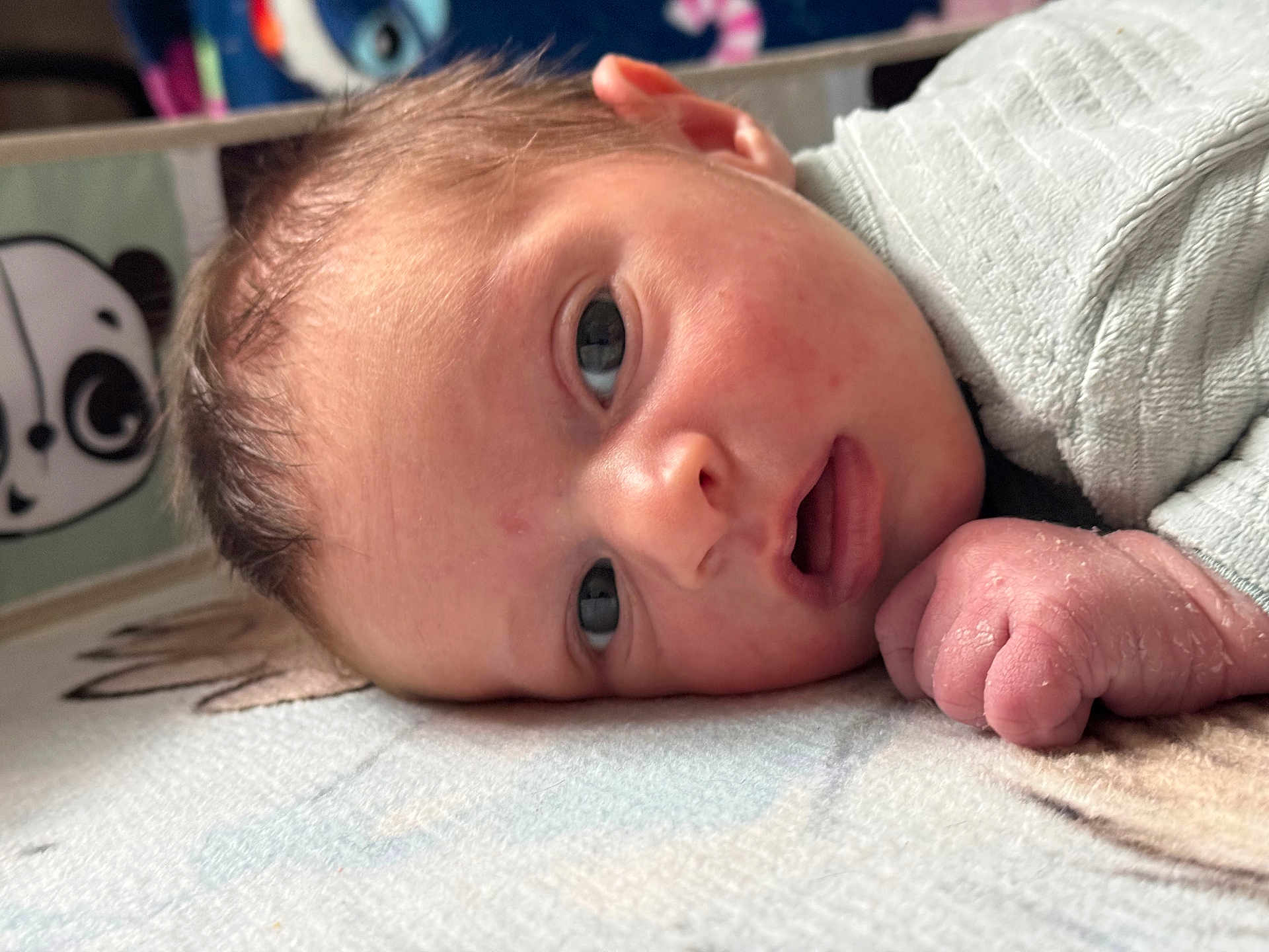 Achille participe au concours pour gagner de l'argent avec cette photo : baby, newborn, infant, face, hand, skin, blanket, panda, illustration, soft, closeup, lying_down, curious, expression, cozy, clothing, indoor, portrait, cute, child