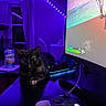 cat, black_cat, gaming_setup, xbox_controller, curved_monitor, led_lights, purple_lighting, desk, can, fresca, window, curtains, chair, computer_game, game_screen, electronics, technology, indoor, night, relaxation