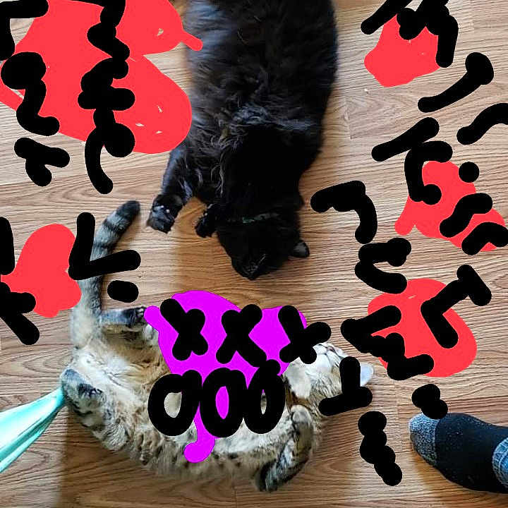 Matilda And Buscuit