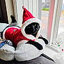 cat, black_cat, santa_hat, christmas_outfit, window, cushion, indoor, pet, holiday_costume, festive, plush, green_eyes, relaxed, animal, feline, cozy, seasonal, soft_texture, resting, curious